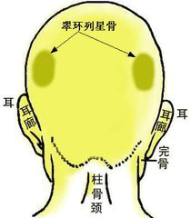 骨相大全：伏吟反吟骨