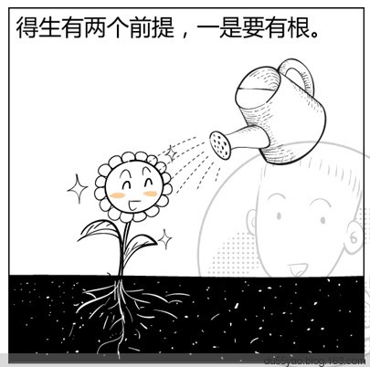 看漫画学算命，漫画解析八字命理！