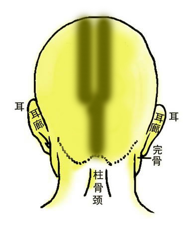 骨相大全：双龙金锁骨