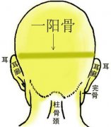 骨相大全：一阳骨