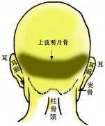 骨相大全：两弦明月骨