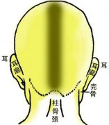 骨相大全：炁悬针骨