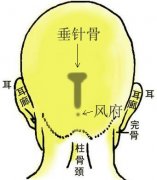 骨相大全：垂针骨