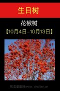 10月04日-10月13日(花楸树)