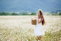 风水看你家有几朵“桃花”