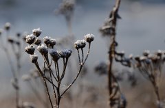 装修风水五行学讲究