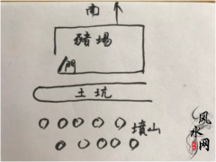 河北衡水有一个快倒闭的养猪场风水布局调整后起死回生的实例