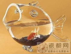 酉鸡所属的风水鱼