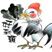 属鸡的人命不好吗？属鸡的命苦十鸡九不全的说