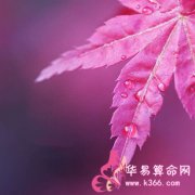 属鸡人生气后有什么样的后果