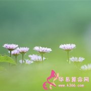 属鸡的人无法兑现的空头支票是什么