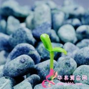 属龙人让人感到厌恶的坏习惯