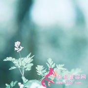 属牛人生气后有什么样的后果