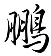 鹏字男孩名字，用鹏字起名