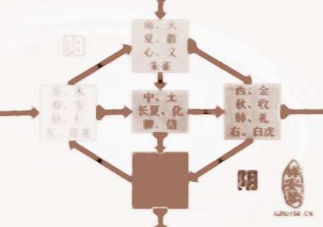 阴阳五行与健康之间的关系