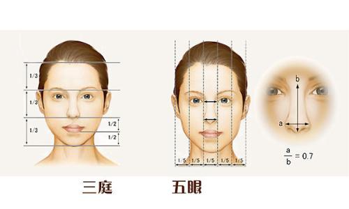 什么是三庭五眼，三庭五眼面相图解