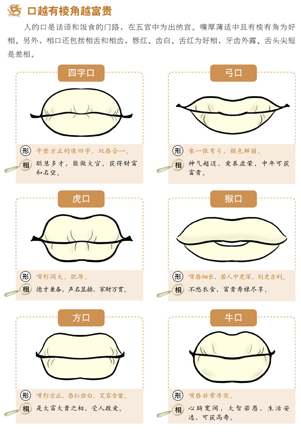 《面相速查》