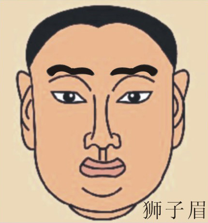 狮子眉