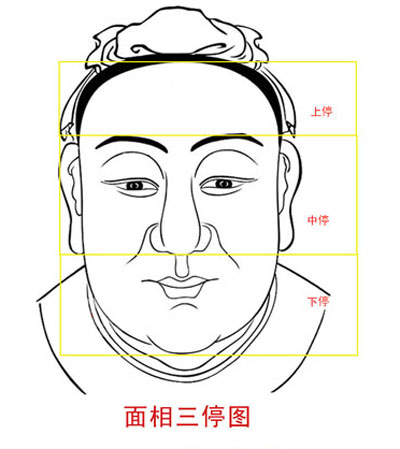 男人看面相大全图解