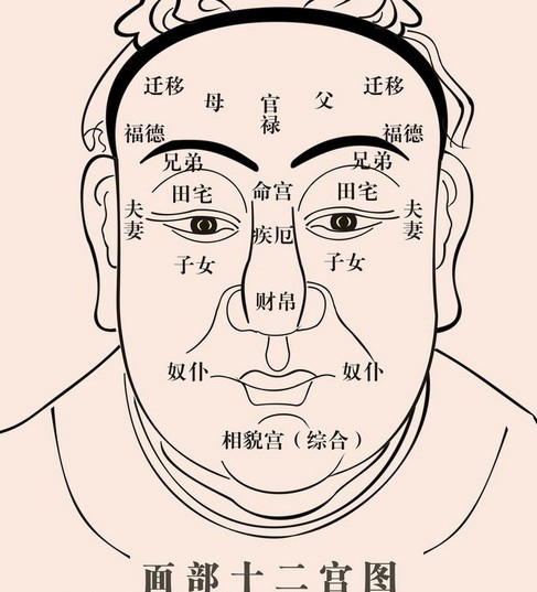 男人看面相大全图解