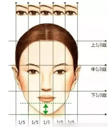 什么是三庭五眼，面部三庭五眼示例图