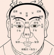 【面相十二宫】专题,面相十二宫全解(2019最新版)