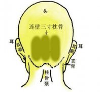 《相学精义》枕骨面相篇