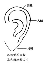 耳朵面相算命图解