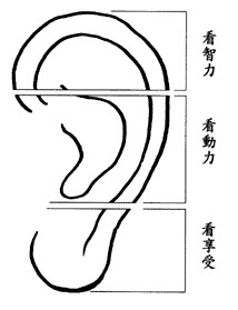 耳朵面相算命图解