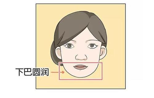 圆下巴面相，圆下巴的人性格分析