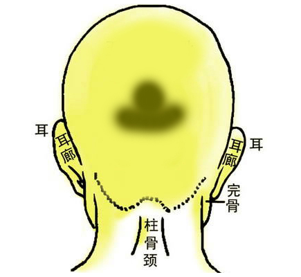 明珠碧玉骨