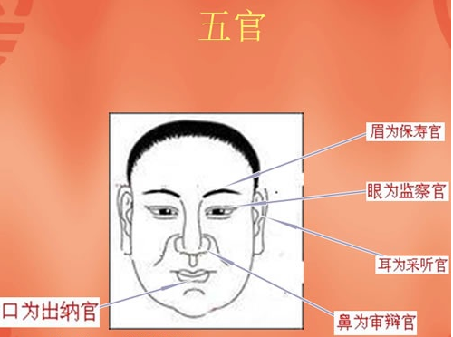 面相教学五官命运怎么看