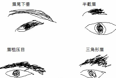 眉毛面相看出你的感情大全