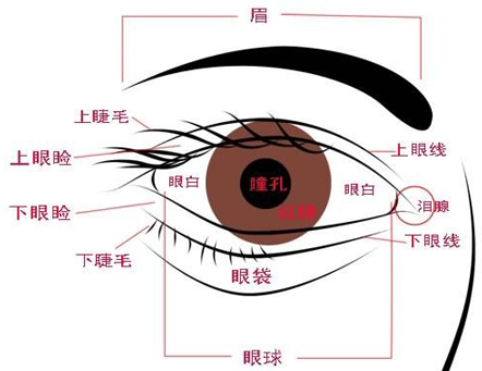 眼睛面相定一生富贵贫贱