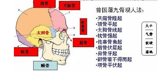 骨相面相大全,骨相与命运