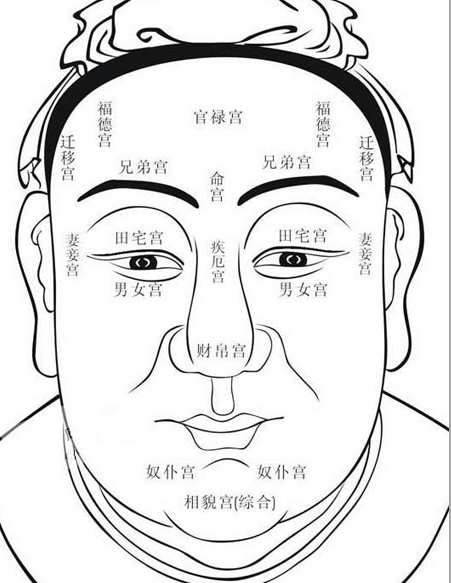 面相看搬迁,面相看迁移宫