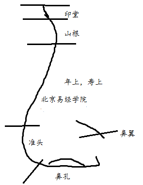 鼻子气色看健康,鼻子看财运