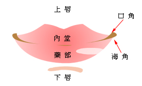 女性面相嘴巴算命,女性嘴巴知道命运大全之一