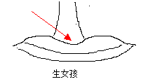 人中算命生男生女