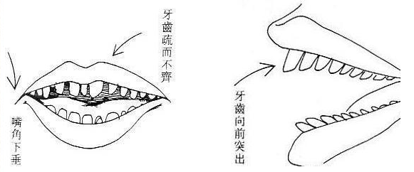 面相鼻子眉毛牙齿看财运