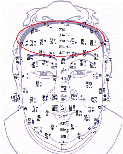 什么是天庭面相，天庭在哪个部位