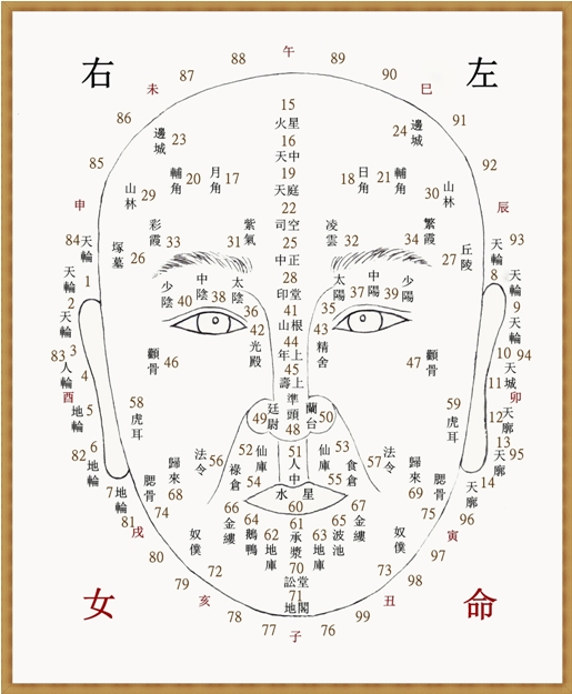 痣相图片大搜罗「总结」