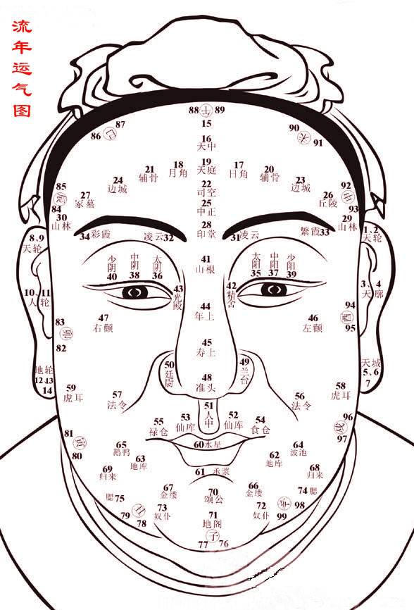 百岁(面相)流年运程图