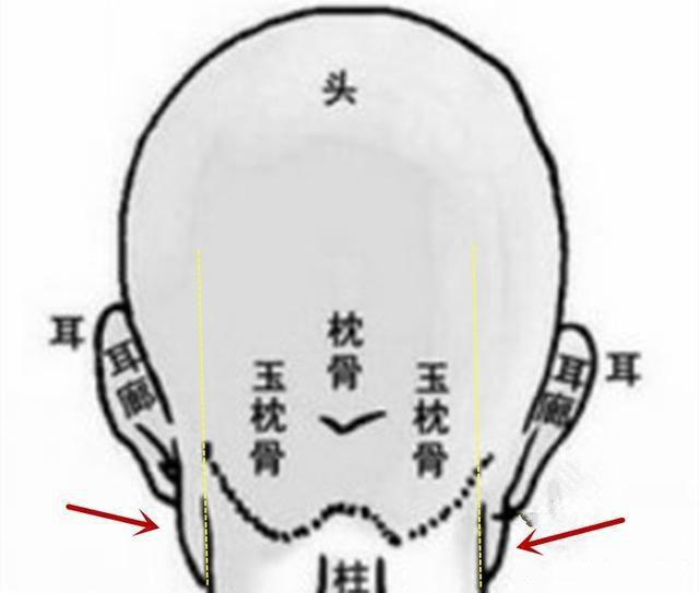 头无异骨，难成贵相