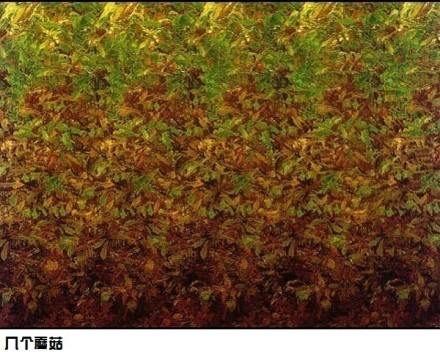 画中画,右脑发达,看图测试