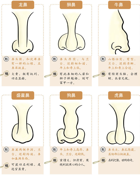 鼻子面相,鼻子看相,鼻子看运势