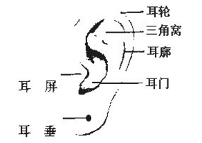 女人耳朵长痣面相图 这个位置有痣的女人暗财涌动