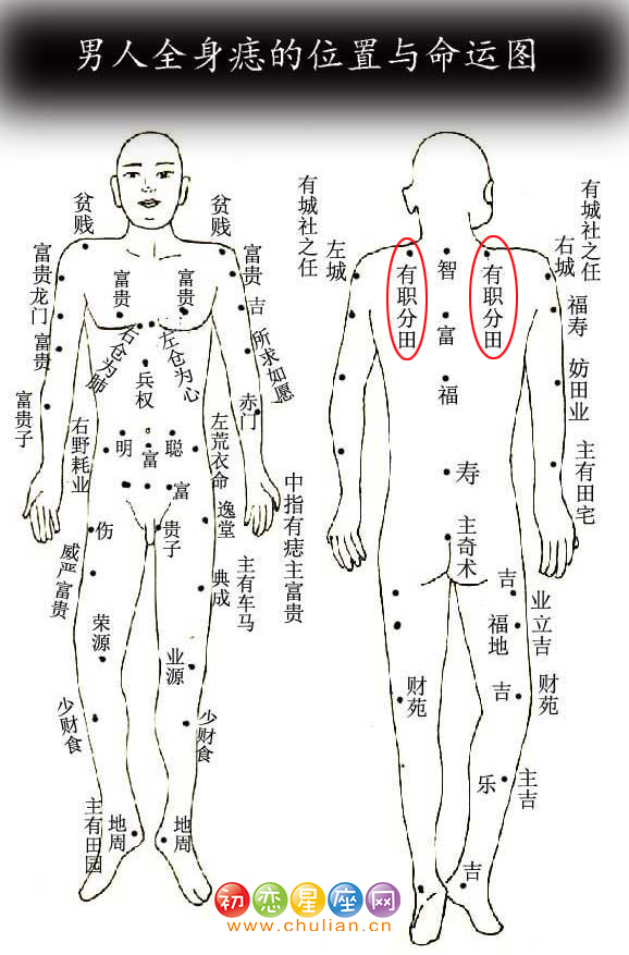 有职分田痣