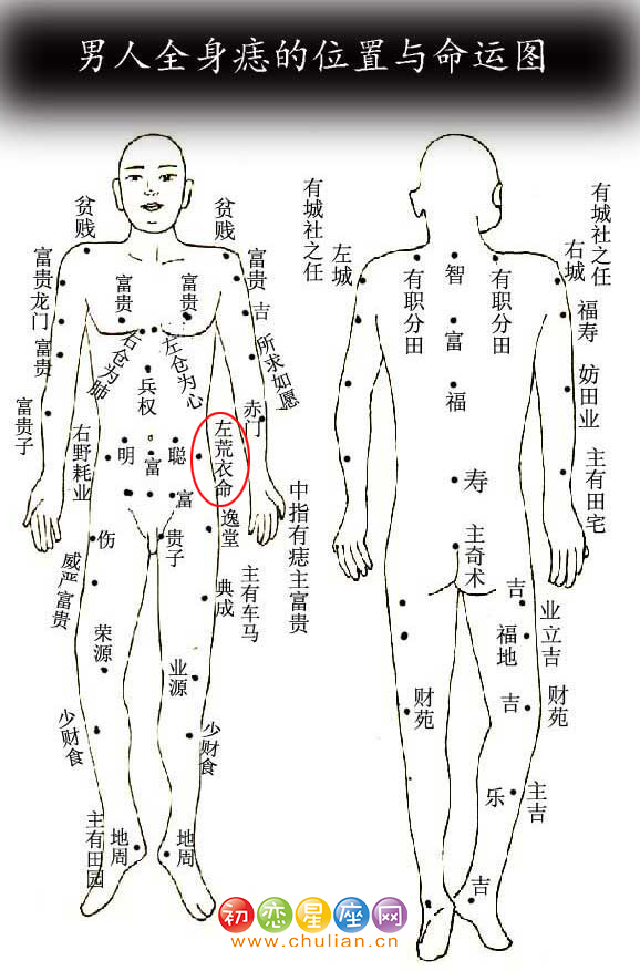 左荒衣命痣