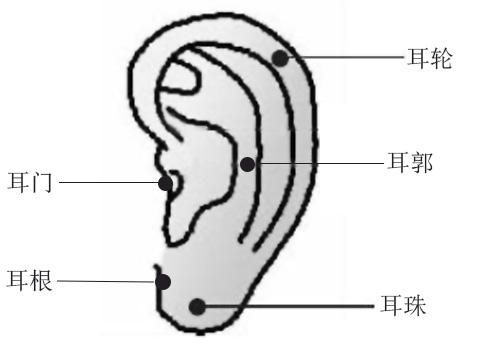 耳朵痣的位置与命运图解大全